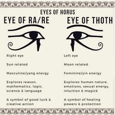 an eye chart with two different types of iris's eyes and their corresponding features