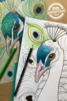 two peacocks are shown with colored pencils next to them