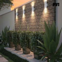 an outdoor area with plants and lights on the side of a building that has a brick wall next to it