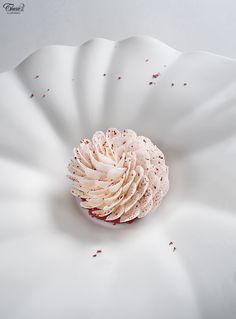 a large white flower with pink petals on it's center, surrounded by tiny red dots