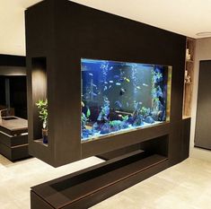 an aquarium in the middle of a living room