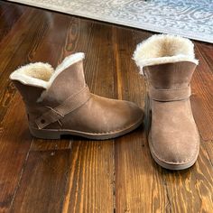 Brand New, Never Worn. Ugg Booties. Size 6 Ugg Booties, Shoes Brand, Womens Uggs, Ugg Shoes, Shoe Brands, Size 6, Women Shoes, Brand New, Women Shopping