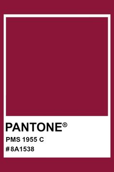 pantone's logo on a red background with white square in the bottom corner