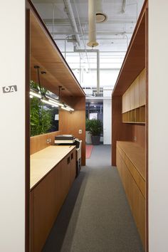 an office hallway with wooden cabinets and plants on the wall, along with carpeted flooring