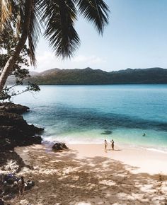 two people are standing on the beach near the water and palm trees in the foreground