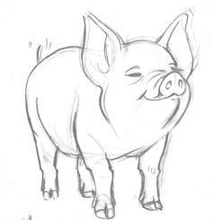 a drawing of a pig standing in front of a white background