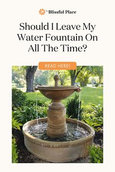 You can leave your fountain on all the time! Keeping it running helps extend the lifespan of the pump, ensures smooth water flow, and creates a calming ambiance in your outdoor space. It's no surprise that many water fountain owners keep theirs running 24 hours a day. Let's explore the benefits in detail!  #outdoorwaterfountains #gardenideas #waterfeatures #gardednart #gardendecor #gardendesign Fountains Outdoor, Water Fountain, Water Features, Bird Bath