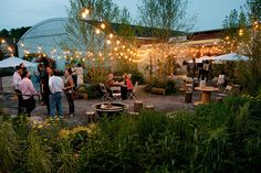 a group of people standing around a fire pit surrounded by greenery and string lights