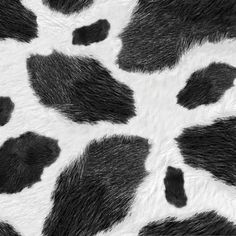 black and white animal print fur with spots