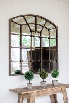 three potted plants are sitting on a wooden table in front of a large mirror