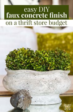 a close up of a potted plant on a table with the text easy diy faux concrete finish on a thrift store budget