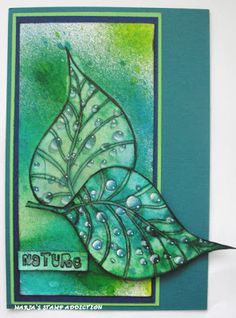 a close up of a greeting card with a leaf on the front and water drops on the back