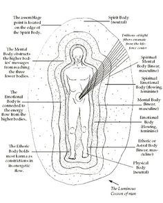 Polarity Therapy, Kundalini Yoga, Chakra Balancing