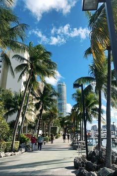 palm trees line the sidewalk in front of tall buildings