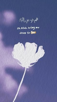 the shadow of a flower is shown against a blue background with an arabic quote on it