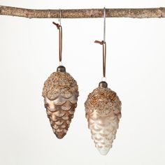 two glass ornaments hanging from a branch on a white background, one is gold and the other is silver