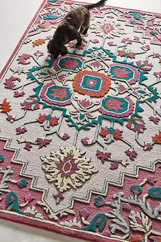 a cat is standing on top of a rug