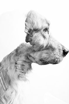 a black and white photo of a dog with its head on the back of a person's shoulder