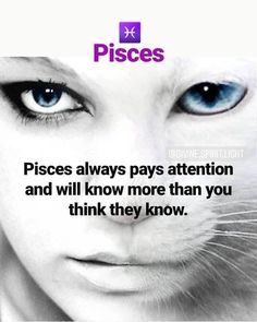 a cat with blue eyes and the words pisces always pays attention and will know more than you think they know