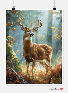 a deer standing in the middle of a forest