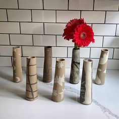 several vases with flowers in them are lined up against a white brick wall and one has a red flower in it