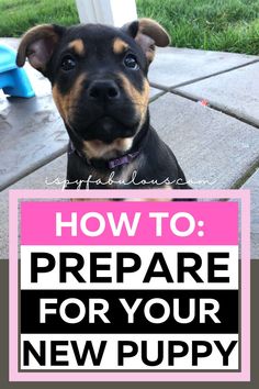 a black and brown dog with the words how to prepare for your new puppy on it