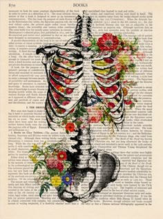 a skeleton with flowers on it's back is shown in an old book page