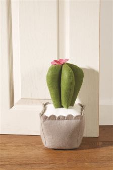 a green cactus sitting on top of a potted plant