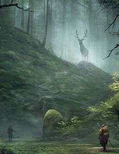 two men are walking through the woods with deer