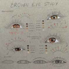 an eye chart shows the different types of eyes and how they are used to draw them