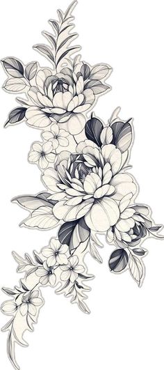 an ink drawing of some flowers on a white background with black and white lines in the middle