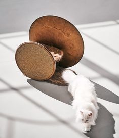 a white cat laying on the floor next to a brown and tan chair with its head resting on it's back