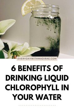 Liquid Chlorophyll is an all-natural detox drink that will help purify your blood, pull out toxins, & benefit the skin. Check out my post all about the health benefits of chlorophyll, how to use it, & what it tastes like! #liquidchlorophyll #benefits #detox How To Drink Chlorophyll, Benefits Of Drinking Chlorophyll, Health Benefits Of Chlorophyll, Liquid Cholorphyll Benefits, Benefits Of Chlorophyll Drops, Chrophyl Benefits, Chloryphl Benefits, Cholorphyll Benefits