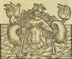 an image of a mermaid in the water