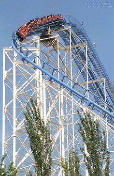 a roller coaster with people on it going down the track and trees growing in front