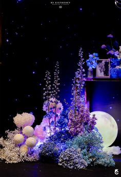 an arrangement of flowers and plants on display in front of a black background with blue lights