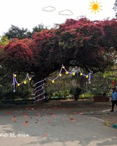 a person walking under a large tree decorated with balloons and streamers in the air