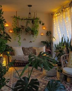 a living room filled with lots of plants and lights hanging from the ceiling above it