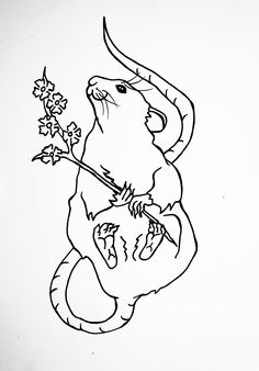 a black and white drawing of a rat holding a flower