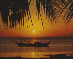 a boat sitting on top of a beach under a palm leaf covered sky at sunset