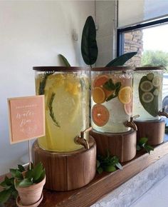 three jars filled with different types of drinks on top of a counter next to potted plants