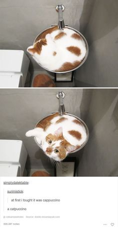 two pictures of a cat sitting in a sink with the caption that reads, i don't know what this is