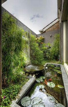 Yards, gardens, pond, koi fish, nature Pond Construction, Kolam Koi, Taman Air, Zen Garden Design, Modern Garden Design, Secret Gardens