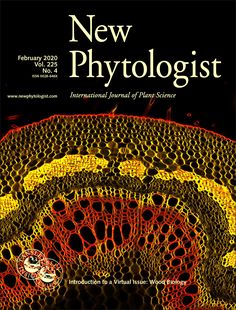 the cover of new phyrologistist magazine, featuring an image of a circular object