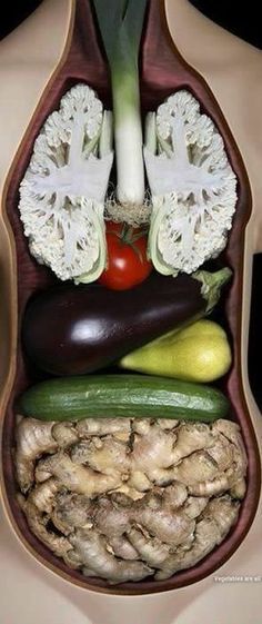 an image of the inside of a human body with vegetables and fruits in it's stomach