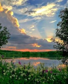 the sun is setting over a lake surrounded by wildflowers