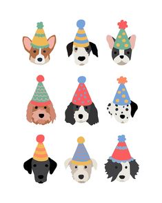 dogs with party hats on their heads are shown in different colors and sizes, including one dog