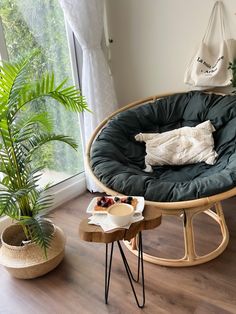 a living room with a round chair and potted plant on the floor next to a window