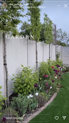 the garden is full of flowers and plants in front of a white fence with green grass