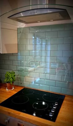 a stove top oven sitting inside of a kitchen next to a counter with a potted plant on it